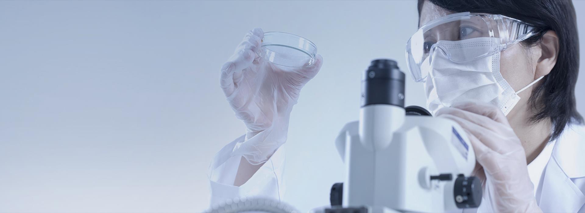 ������ʱ