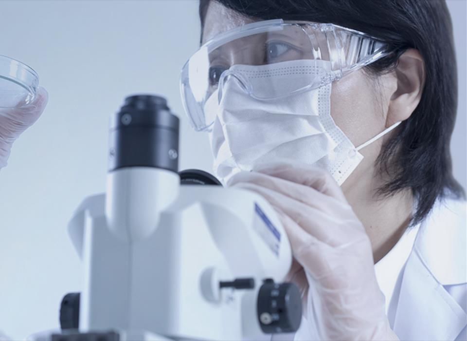 ������ʱ