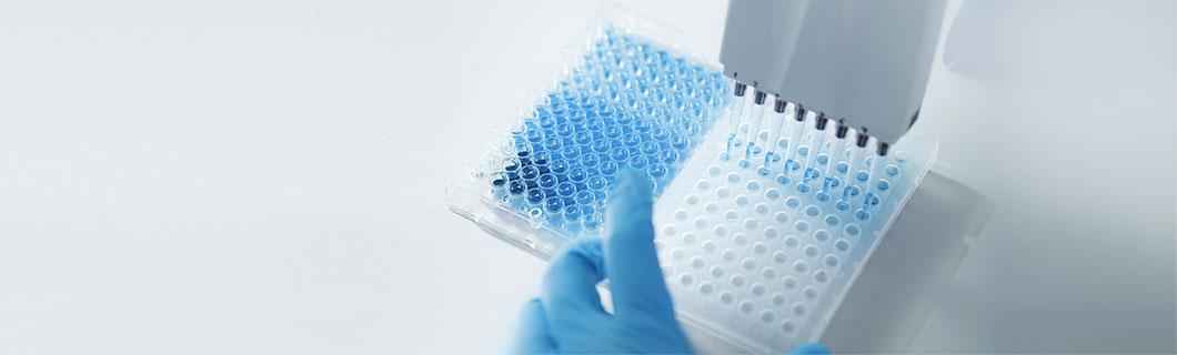 ������ʱ