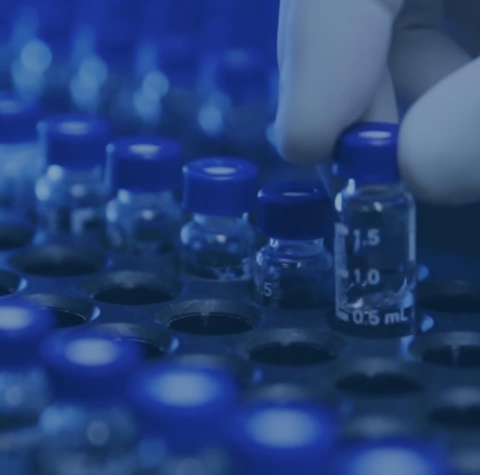 ������ʱ