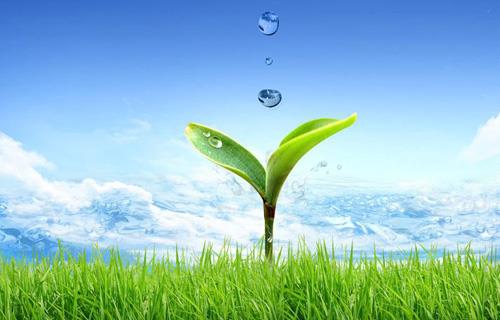 ������ʱ